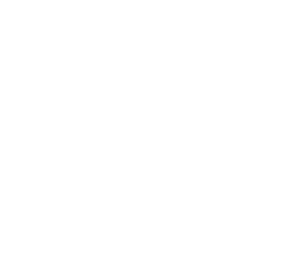logo of Elevate kicks